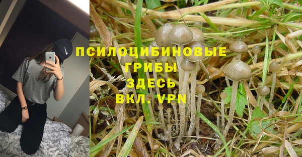 COCAINE Алексеевка
