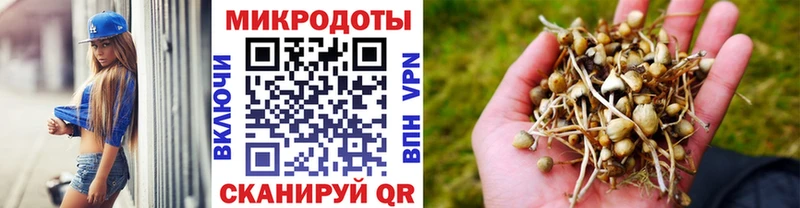 hydra как войти  купить наркотик  Дмитриев  Псилоцибиновые грибы GOLDEN TEACHER 